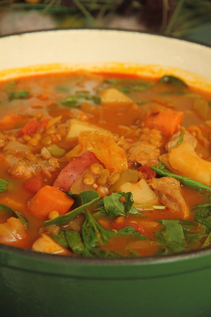 Cabbage Vegetable Lentil Soup - Rosalie Serving