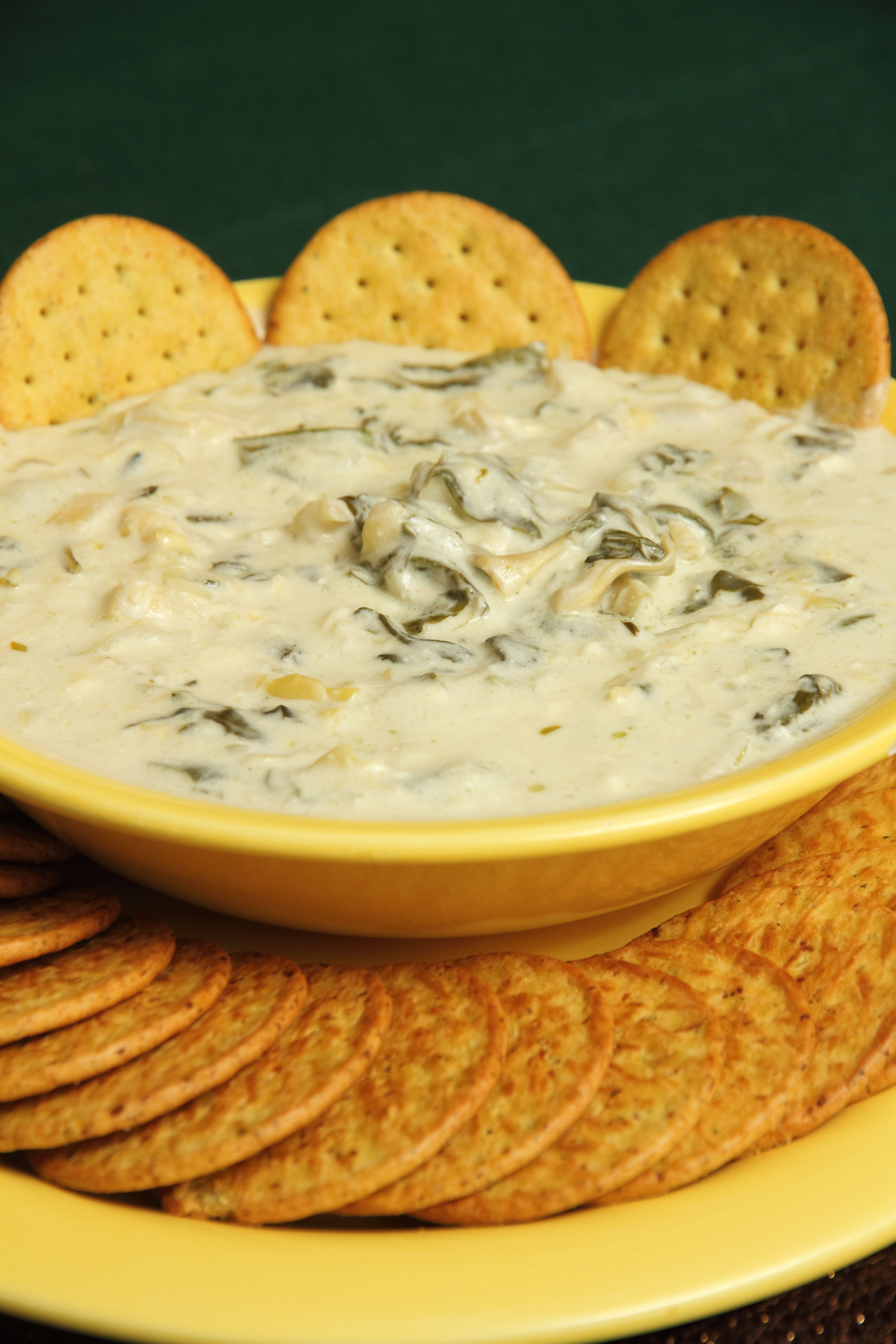 A bowl of dip with crackers on the side.
